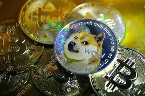 Dogecoin(Doge)图表模式在上一个看涨阶段重复时提示